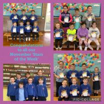 November Stars of the Week 🌟💫